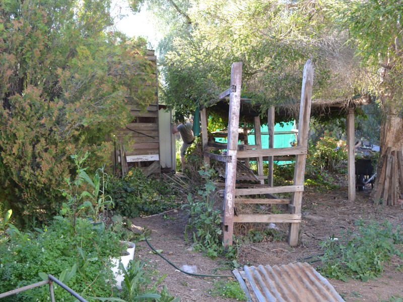 ????????????????????????????????????