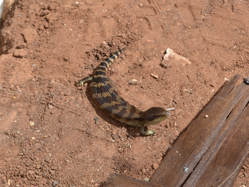 ????????????????????????????????????