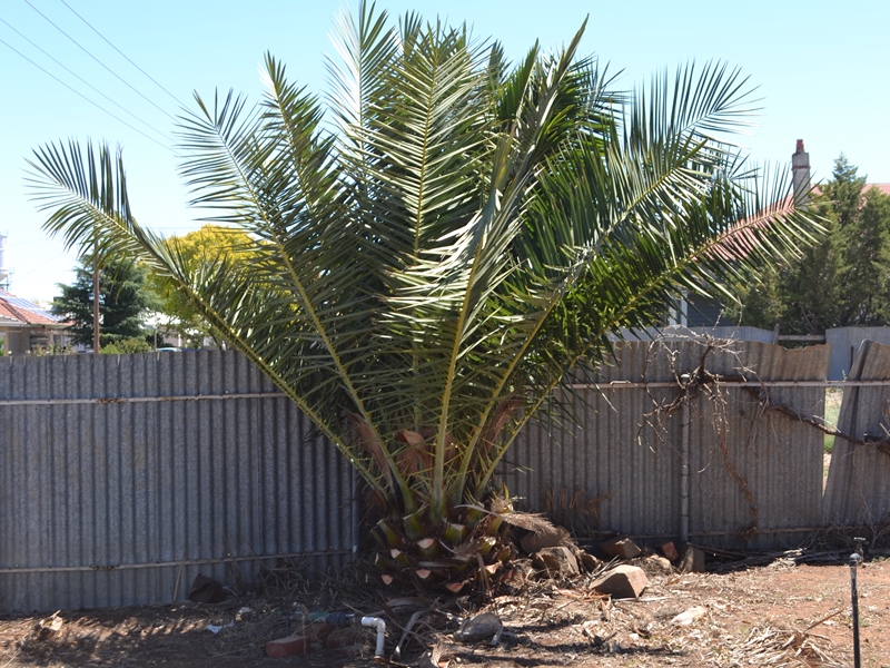 ????????????????????????????????????