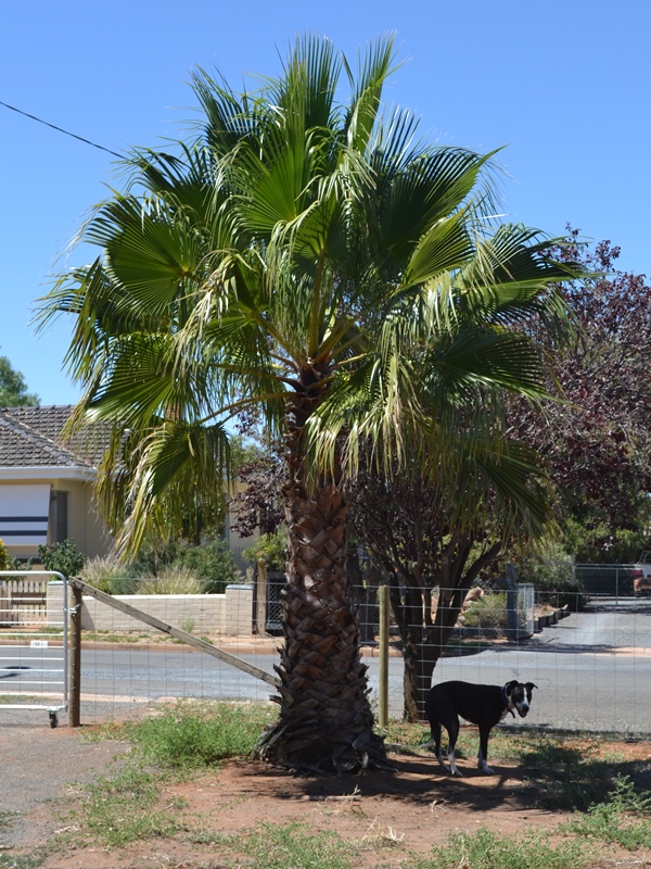 ????????????????????????????????????